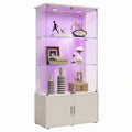 vitrine-en-verre-avec-eclairage-led-armoire-de-collection-avec-etageres-transparentes-et-miroir-blprw10758ce